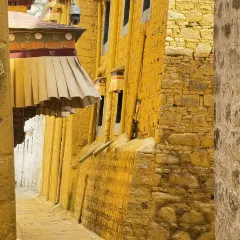 旬食·藏地时令定食(八廓街店) User Photo