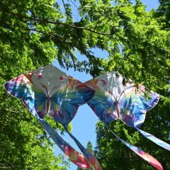 哎呀妈妈哟岚山豆腐木柴大锅鱼 User Photo