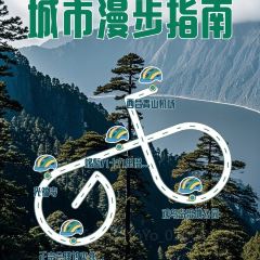 正宗会理鸡火丝(龙眼井店) User Photo