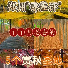 AWU YELLOW RIVER COMMON CARP User Photo