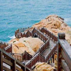 日升海鲜楼 User Photo