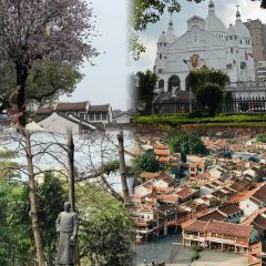 Li Tai Mang Yan Ju Shou Qiang Tui 여행 사진