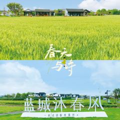 成都蓝城沐春风度假村·有稻里·稻田餐厅 User Photo