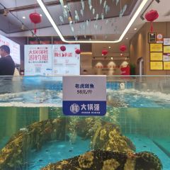 大锅强海鲜(城市阳台店) User Photo