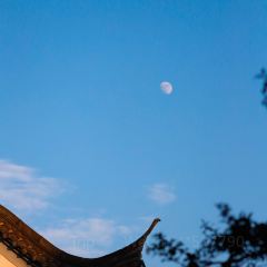 鹿栖里·庭院火锅 User Photo