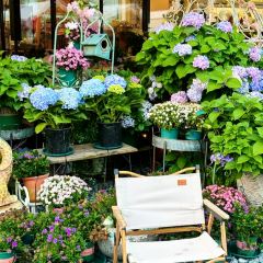 海如的花園張用戶圖片