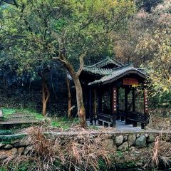 北山淩英手擀麵張用戶圖片