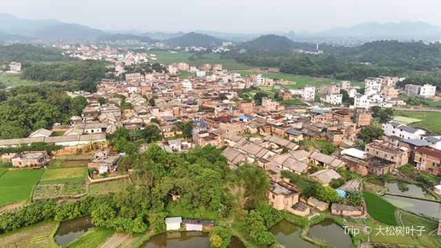 Luocun Ancient Village Scenic Area