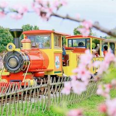 HENG CHENG JIU JIA User Photo