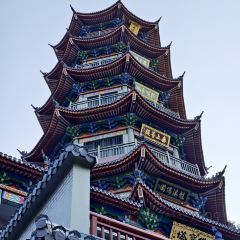 Donghuadouhua User Photo