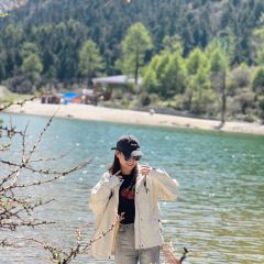 红房子丑丑饭店 User Photo