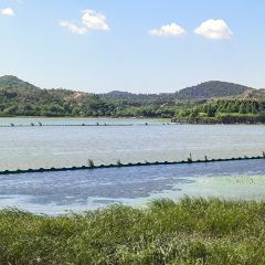 秀山湖畔張用戶圖片