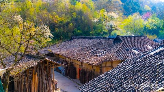 zhu yu zhen dong li cun xie sheng ji di