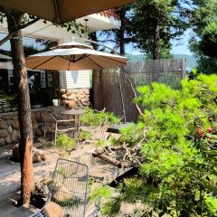 许苑咖啡 User Photo