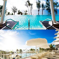 Ohas cafe (Kensington) User Photo