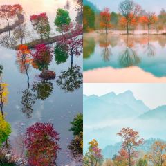 Sage Hall Homestay User Photo