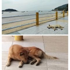 铁船餐厅 User Photo