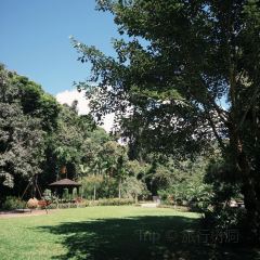 Valley Coffee Lanna Resort User Photo