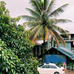 曼景保傣乡缘傣味餐厅 User Photo