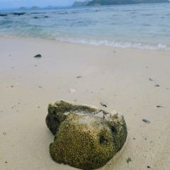 Samaesan Marina แสมสารมารีน่า 여행 사진