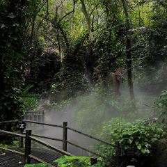 呀诺达雨林一号度假酒店·热带雨林餐厅 여행 사진