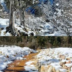 四姑娘山绒雪藏庄 User Photo