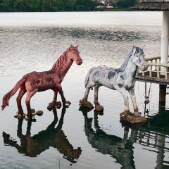 简聿咖啡 User Photo