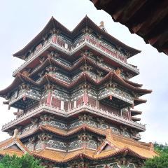 Xiang Yue Chinese Restaurant and Bar 여행 사진