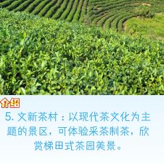 WEN XIN CHA ZHUANG YUAN User Photo