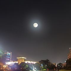 Luzhoubaigao User Photo