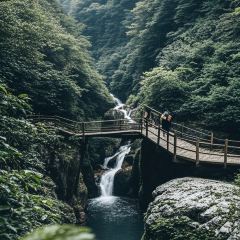 XIAO FANG NIU User Photo