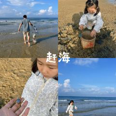 ER SHI SI ZHUANG SUGAR WATER User Photo