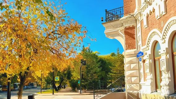 Amurskiy Oblastnoy Krayevedcheskiy Muzey Im. G.s. Novikova-Daurskogo