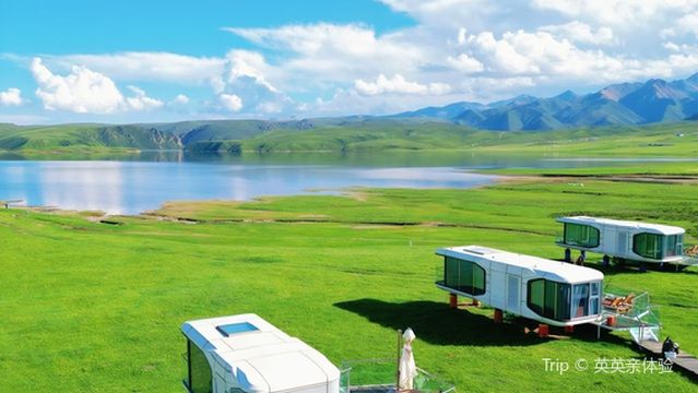 qi lian shan mei long zhang sheng tai mu chang xing kong mi jing ying di