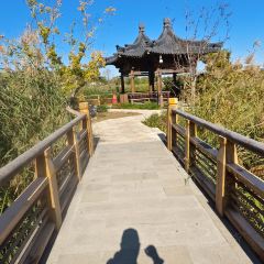 雄安索菲特酒店·锦厨全日餐厅 여행 사진