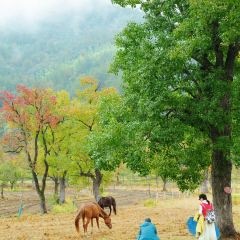 Sage Hall Homestay User Photo