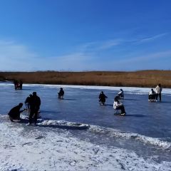 Baijiazhaobing User Photo