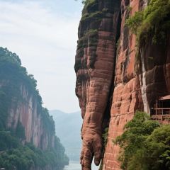 DOU XIANG SHI User Photo