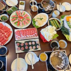 더 불 여행 사진