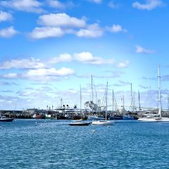 The Mooring Seafood Kitchen & Bar User Photo