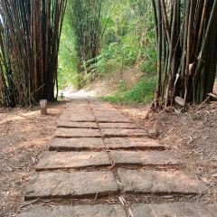 兰溪金熙温泉酒店·墅滋法餐厅 User Photo