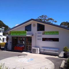 Tamborine Mountain Pizza User Photo