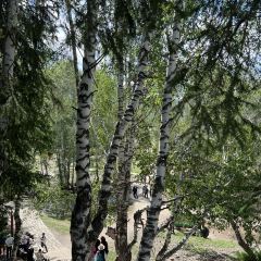 禾木老村山庄 User Photo