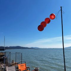 泊隐·花境 User Photo