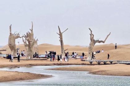 苏子拉面(钻石城店)