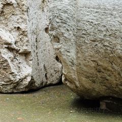 Costanza Hostaria User Photo