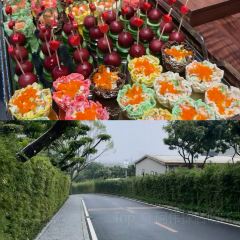 大肚林山庄·森林餐厅 여행 사진