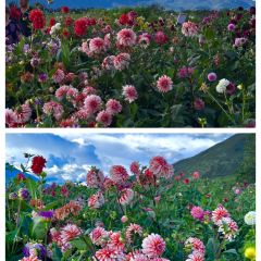 听花谷餐厅 User Photo