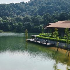 泉記燒鵝張用戶圖片