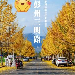 海窩子範鵝肉張用戶圖片